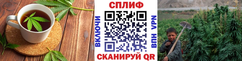 купить наркотики цена  Мглин  Еда ТГК конопля 