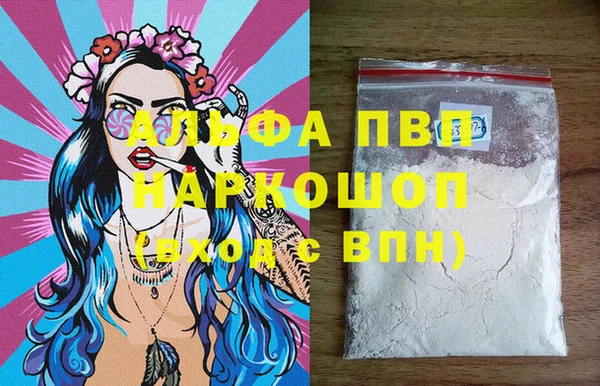 гидра Магас