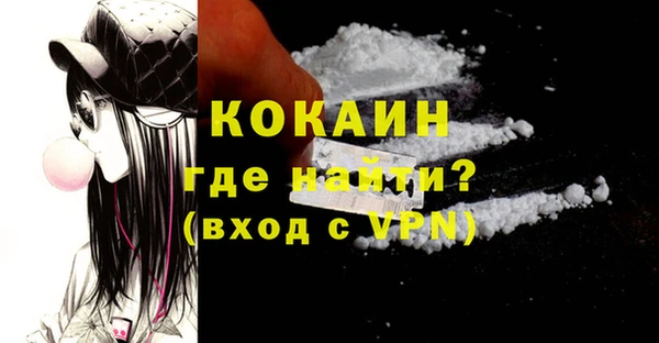 прущие грибы Магадан