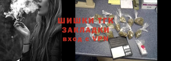 прущие грибы Магадан