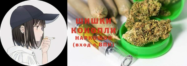 прущие грибы Магадан