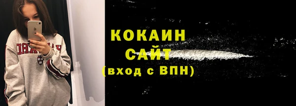прущие грибы Магадан