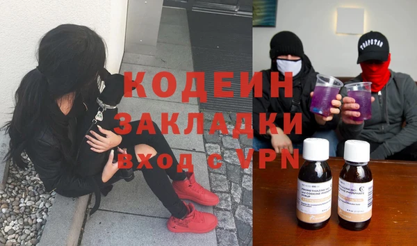 прущие грибы Магадан