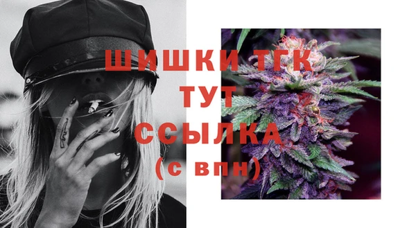 гидра Магас