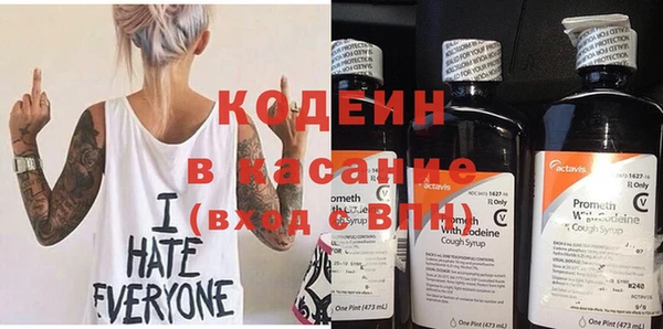прущие грибы Магадан