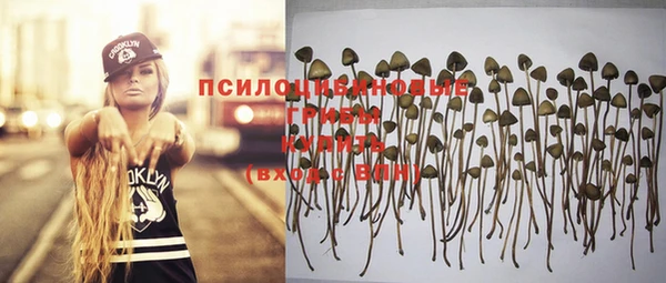 Альфа ПВП Липки